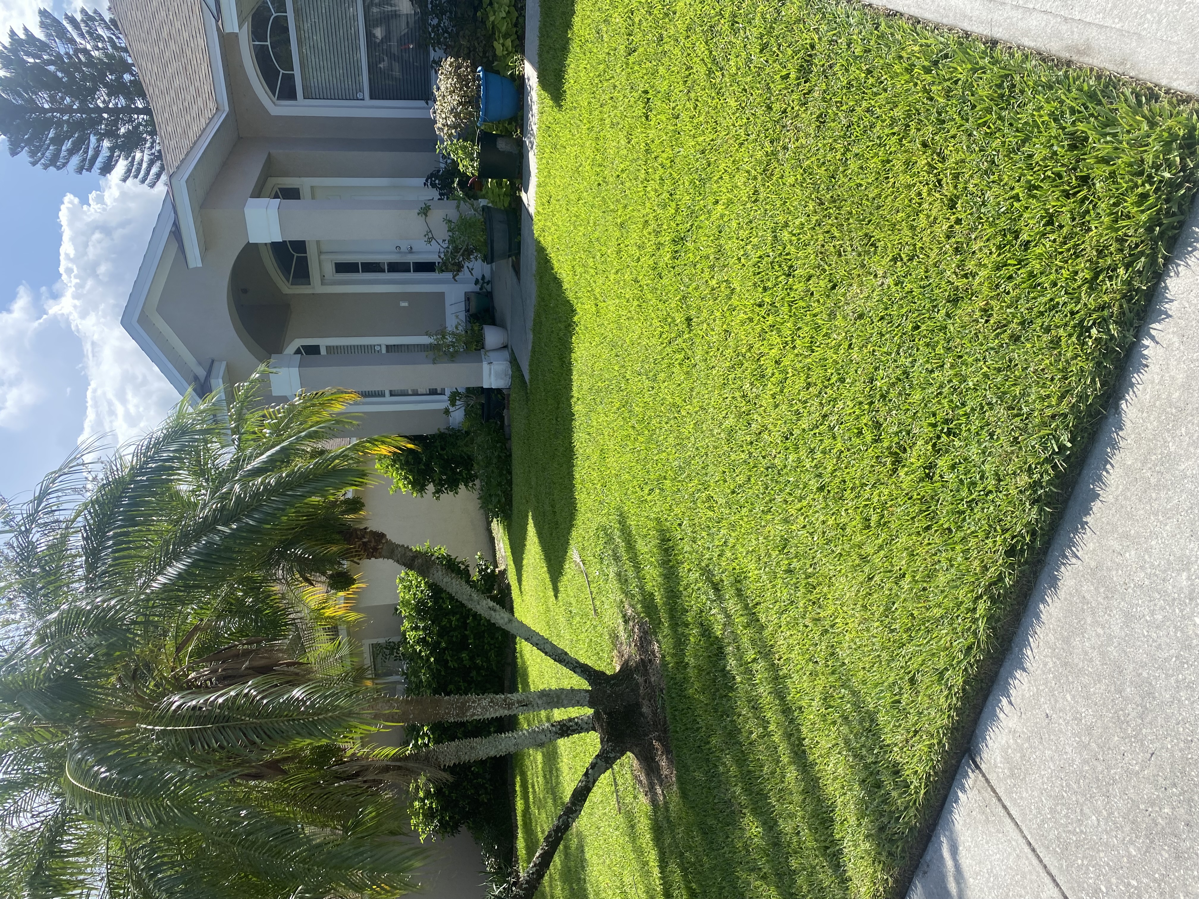 Lawn images